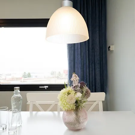 Stranddistel 4 Bootsblick * Burgtiefe auf Fehmarn