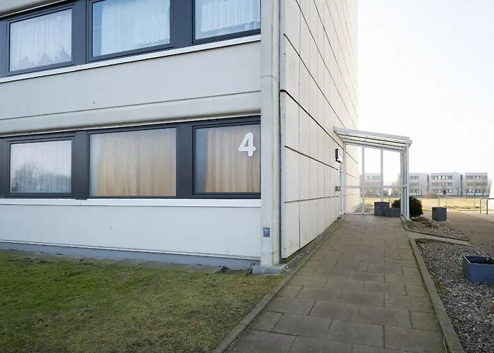 Stranddistel 4 Bootsblick Burgtiefe auf Fehmarn